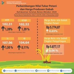 Development Of Farmer Exchange Rates And Grain Producer Prices In October 2020